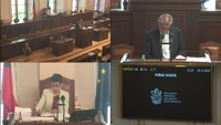 Videoarchiv