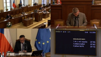 Videoarchiv