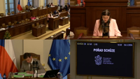 Videoarchiv Videoarchiv