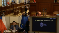Videoarchiv